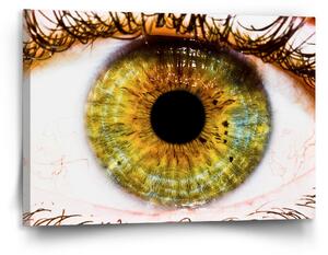 Sablio Obraz Oko - 120x80 cm