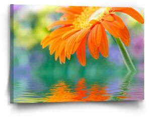 Sablio Obraz Oranžová gerbera - 90x60 cm