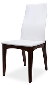 IBA Moderní židle MODENA