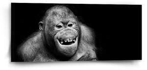 Sablio Obraz Orangutan - 110x50 cm