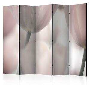 Paraván - Umělecké tulipány - černobílé II 225x172