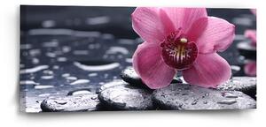 Sablio Obraz Orchidej - 110x50 cm