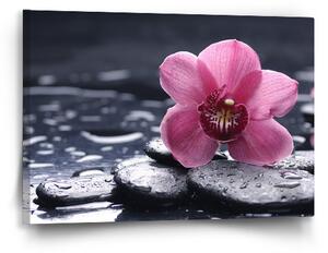 Sablio Obraz Orchidej - 60x40 cm