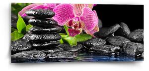 Sablio Obraz Orchidej na kamenech - 110x50 cm