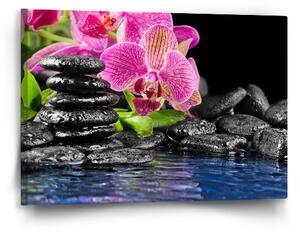 Sablio Obraz Orchidej na kamenech - 60x40 cm