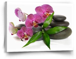 Sablio Obraz Orchideje a kameny - 90x60 cm