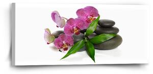 Sablio Obraz Orchideje a kameny - 110x50 cm