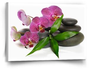 Sablio Obraz Orchideje a kameny - 120x80 cm