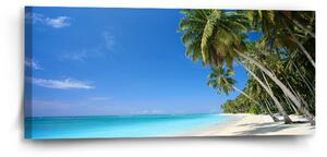 Sablio Obraz Palmová pláž - 110x50 cm