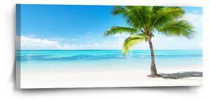 Sablio Obraz Palma na pláži - 110x50 cm
