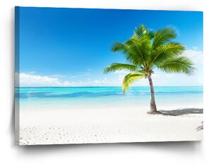 Sablio Obraz Palma na pláži - 60x40 cm