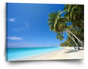 Sablio Obraz Palmová pláž - 90x60 cm