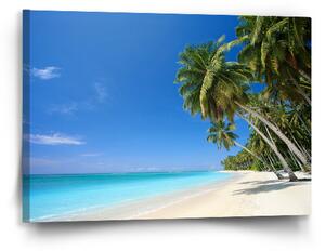 Sablio Obraz Palmová pláž - 60x40 cm