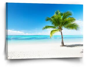Sablio Obraz Palma na pláži - 90x60 cm