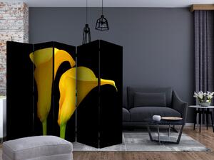 Artgeist Paraván - Two yellow calla flowers on a black background II [Room Dividers] Size: 225x172