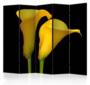 Artgeist Paraván - Two yellow calla flowers on a black background II [Room Dividers] Velikosti (šířkaxvýška): 225x172
