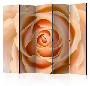 Artgeist Paraván - Peach-colored rose II [Room Dividers] Velikosti (šířkaxvýška): 225x172