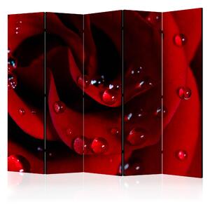 Artgeist Paraván - Red rose with water drops II [Room Dividers] Velikosti (šířkaxvýška): 225x172