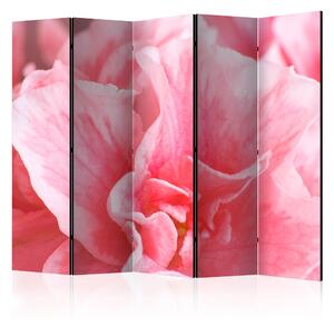 Artgeist Paraván - Pink azalea flowers II [Room Dividers] Velikosti (šířkaxvýška): 225x172