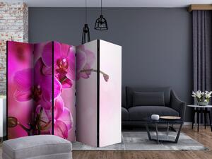 Paraván - Růžová orchidej III 225x172