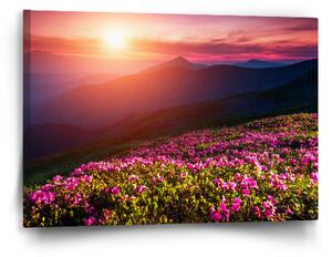 Sablio Obraz Rozkvetlá příroda - 60x40 cm