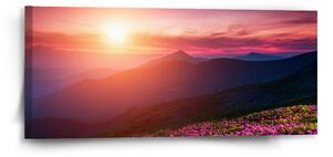 Sablio Obraz Rozkvetlá příroda - 110x50 cm