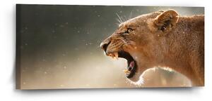 Sablio Obraz Rozzuřená lvice - 110x50 cm