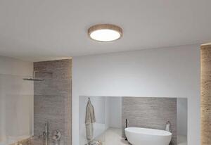 Paulmann Stropní koupelnové svítidlo Tega LED IP44, 24W Barva: Černá matná