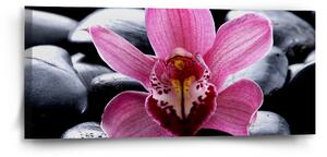 Sablio Obraz Růžová orchidea - 110x50 cm