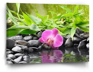 Sablio Obraz Růžová orchidej - 60x40 cm