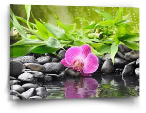 Sablio Obraz Růžová orchidej - 90x60 cm