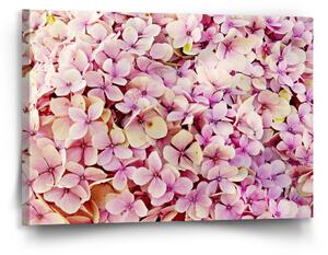 Sablio Obraz Růžové květy - 90x60 cm