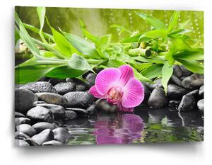 Sablio Obraz Růžová orchidej - 120x80 cm
