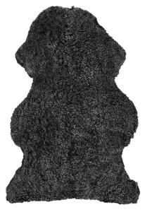 Skinnwille Home Collection Kudrnatá australská kožešina Curly, tmavě šedá, 95x60 cm