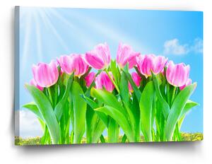 Sablio Obraz Růžové tulipány - 60x40 cm