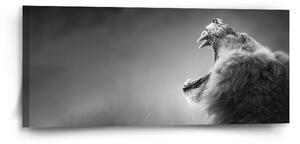 Sablio Obraz Řvoucí lev - 110x50 cm