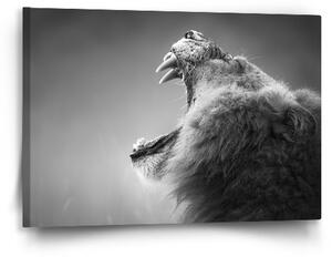 Sablio Obraz Řvoucí lev - 60x40 cm