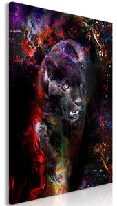 Obraz - Černý jaguár 40x60
