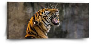 Sablio Obraz Řvoucí tygr - 110x50 cm