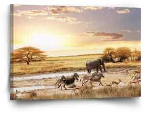 Sablio Obraz Safari - 60x40 cm