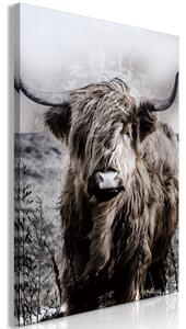 Obraz - Kráva z Vysočiny - sépie 40x60