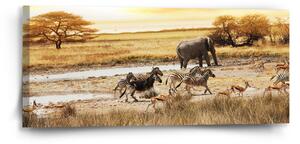 Sablio Obraz Safari - 110x50 cm