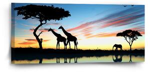 Sablio Obraz Sahara - 110x50 cm