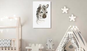 Obraz - Malá zebra 40x60