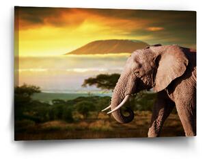 Sablio Obraz Slon z profilu - 60x40 cm