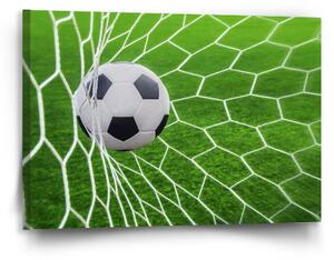 Sablio Obraz Fotbalový míč v bráně - 90x60 cm