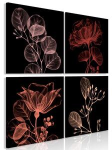 Obraz - Zářící květiny 60x60