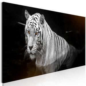 Obraz - Zářivý tygr III 150x50