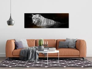 Obraz - Zářivý tygr III 150x50