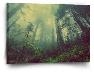 Sablio Obraz Temný les - 60x40 cm